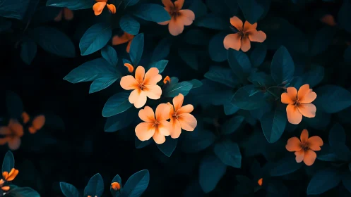 Orange Blossoms Against Deep Teal Foliage.