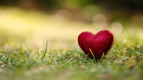 Red heart rests on grass with soft bokeh background.