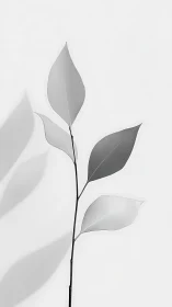 Monochrome minimalist leaf stem with soft shadows.