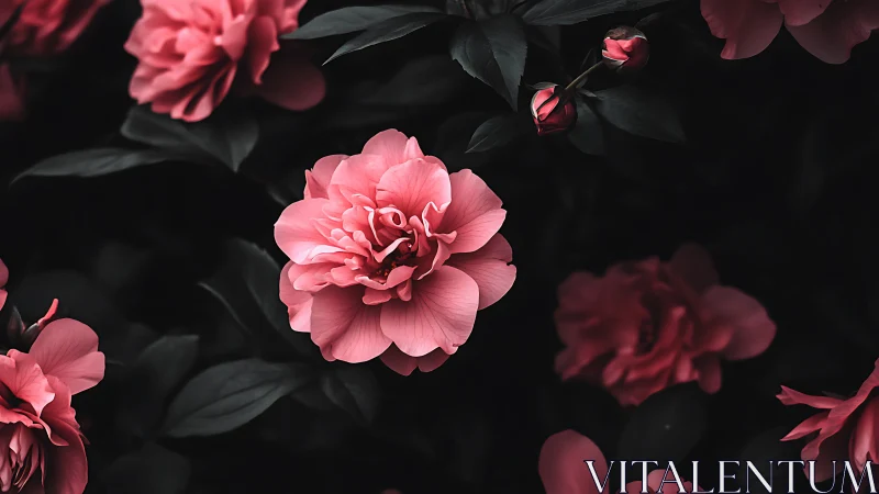 Pink Garden Dreams Among Dark Blooms.