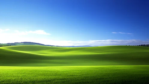 Rolling green agricultural hills under clear blue sky.