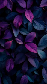 Overlapping purple and blue leaves in dark minimal layout.