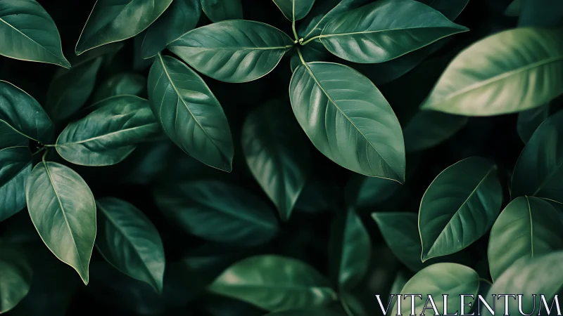 Emerald leaf canopy whispers in soft, cinematic green light.