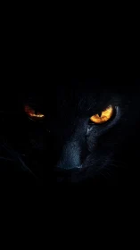 Midnight panther gaze with burning ember-bright eyes.