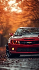 Crimson sports car glows warmly along a quiet autumn road