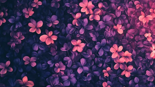 Chromatic Bloom Array with Tonal Gradient Layering.