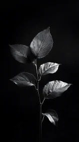 Silver-veined leaves rehearse moonlit geometry in silence