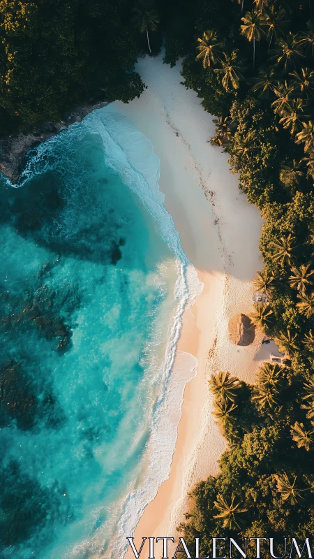 Aerial view of pristine tropical beach with turquoise waters
