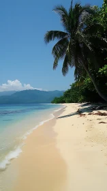 Tropical Beach Paradise with Palm and Mountain Backdrop.