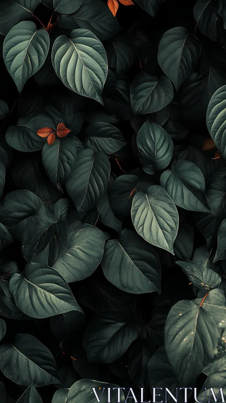 Moody green leaves with tiny copper accents of quiet warmth.