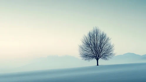 Solitary winter tree in serene snowy landscape, minimalist style.