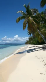 Tropical Paradise Awaits on Golden Shores.