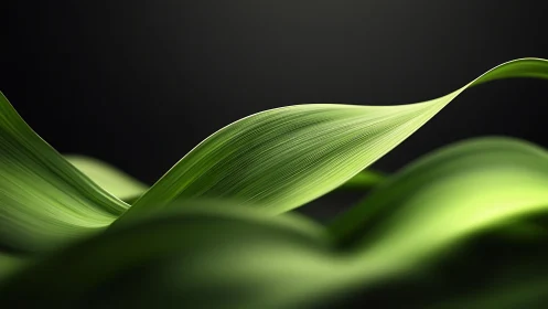 Curved green leaf blade rises in soft cinematic light.