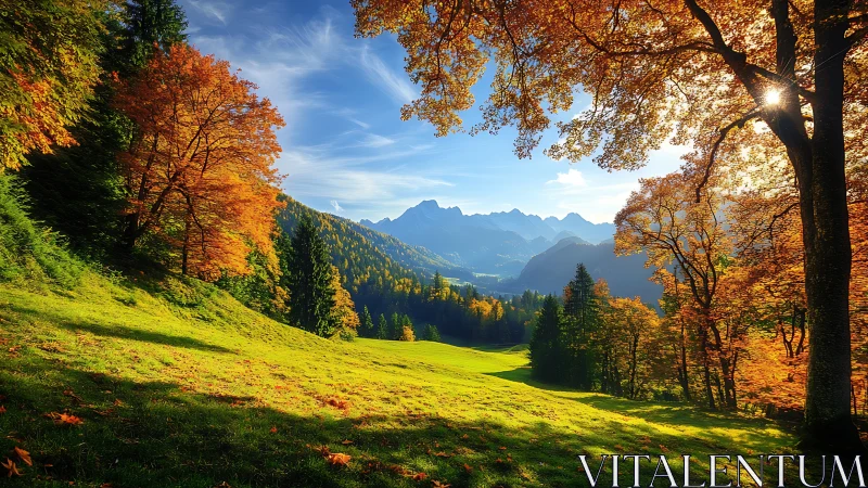 Autumn mountain valley with sunlit meadow and forest frame.