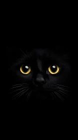 Black cat face stares forward with striking golden amber eyes