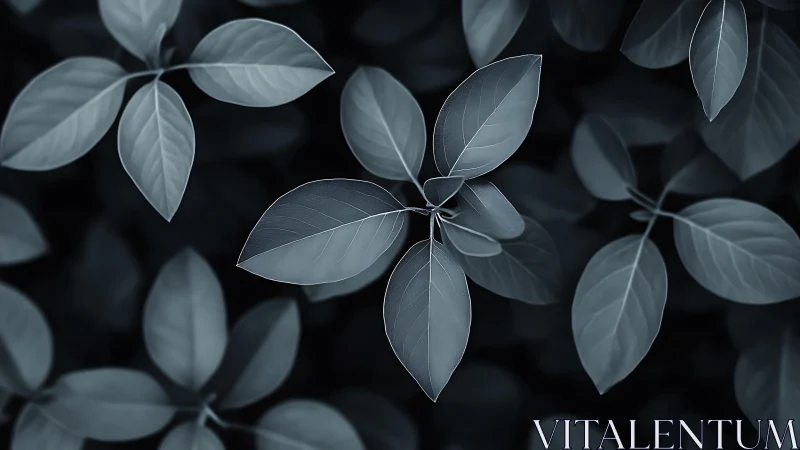 Monochrome foliage array with macro tonal leaf geometry.