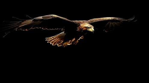 Majestic golden eagle in flight against dramatic black background.