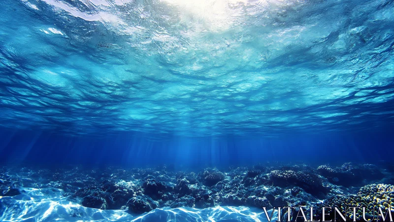 Sunlit shallow underwater seascape with coral reef terrain.