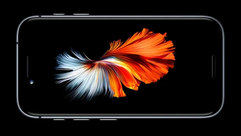 High-resolution smartphone displaying stylized betta fish with radiant gradient rendering and motion