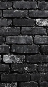 Midnight bricks whisper stories in rough monochrome rows