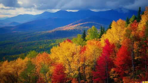 Mixed deciduous forest displays autumn colors before distant hills