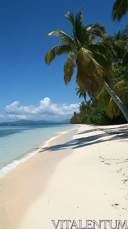 Tropical Paradise Awaits on Golden Shores.