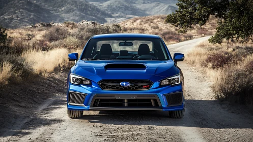 Bold blue Subaru sports car waits on a sunlit dirt road
