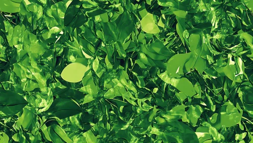 Dense layered green foliage texture fills the entire frame