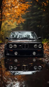Mirror-still puddle crowns a classic BMW amid autumn blaze