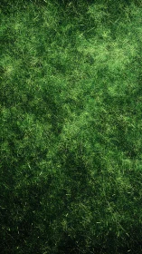 Emerald grass tapestry glows with layered summer wildness.
