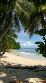 Tropical Beach Shoreline with Palm Canopy Above.