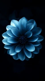 Blue Dahlia Bloom Against Dark Background