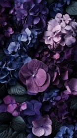 Layered Hydrangea Blooms with Tonal Gradations in Deep Purples and Blues