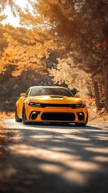 Orange muscle car dominates sunlit forest backroad scene.