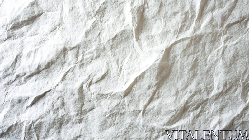 High-key optical study of creased cellulose paper surface.