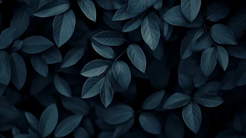 Midnight leaves whisper softly through a velvet forest hush