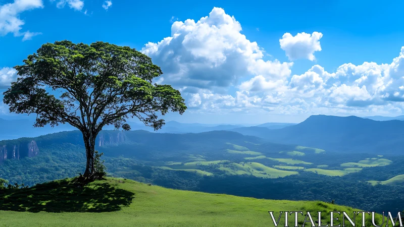 Solitary hillside tree overlooking layered mountain valley panorama.