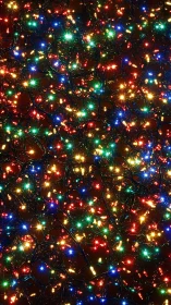 Tangled constellations of holiday lights quietly outshine night