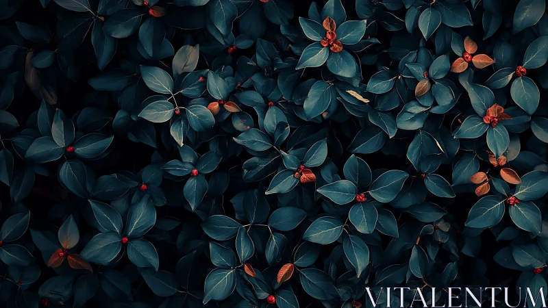 Dark teal foliage with scattered red berries pattern.