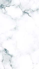 High-key white marble texture with fine grey veining detail