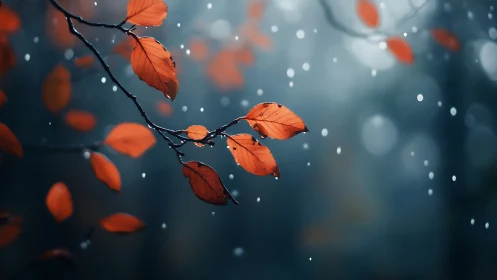 Scarlet autumn leaves glow softly against a misty blue forest