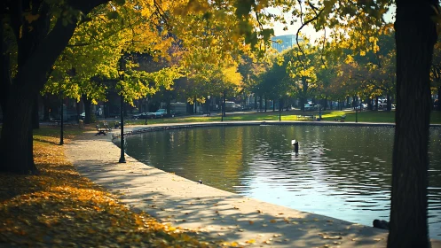 Sunlit urban park lagoon with autumn trees and path.