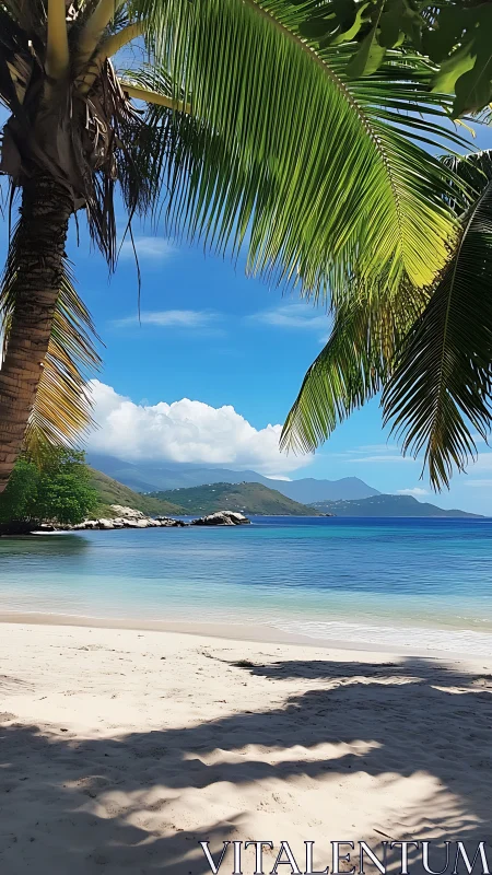 Tropical Beach Paradise Under Palm Fronds