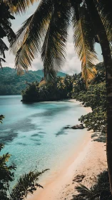 Tropical Beach Cove Framed by Palm Fronds and Turquoise Waters