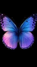 Bioluminescent morpho butterfly rendered in high-contrast profile