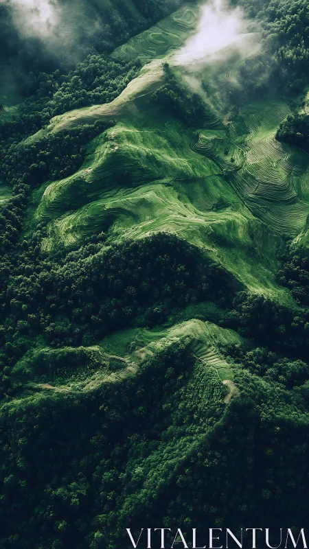 Terraced green hills and forest observed from elevated viewpoint