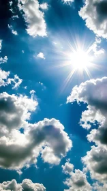 Backlit cumulus cloud field under intense midday solar glare