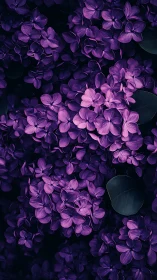 Purple Lilac Blooms: Layered Floral Composition in Moody Botanicals.