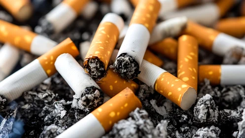 Spent cigarette butts in an ash heap of quiet consequences.