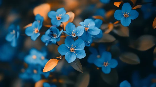 Forget-Me-Not Dreams: Where Azure Petals Dance Against Twilight